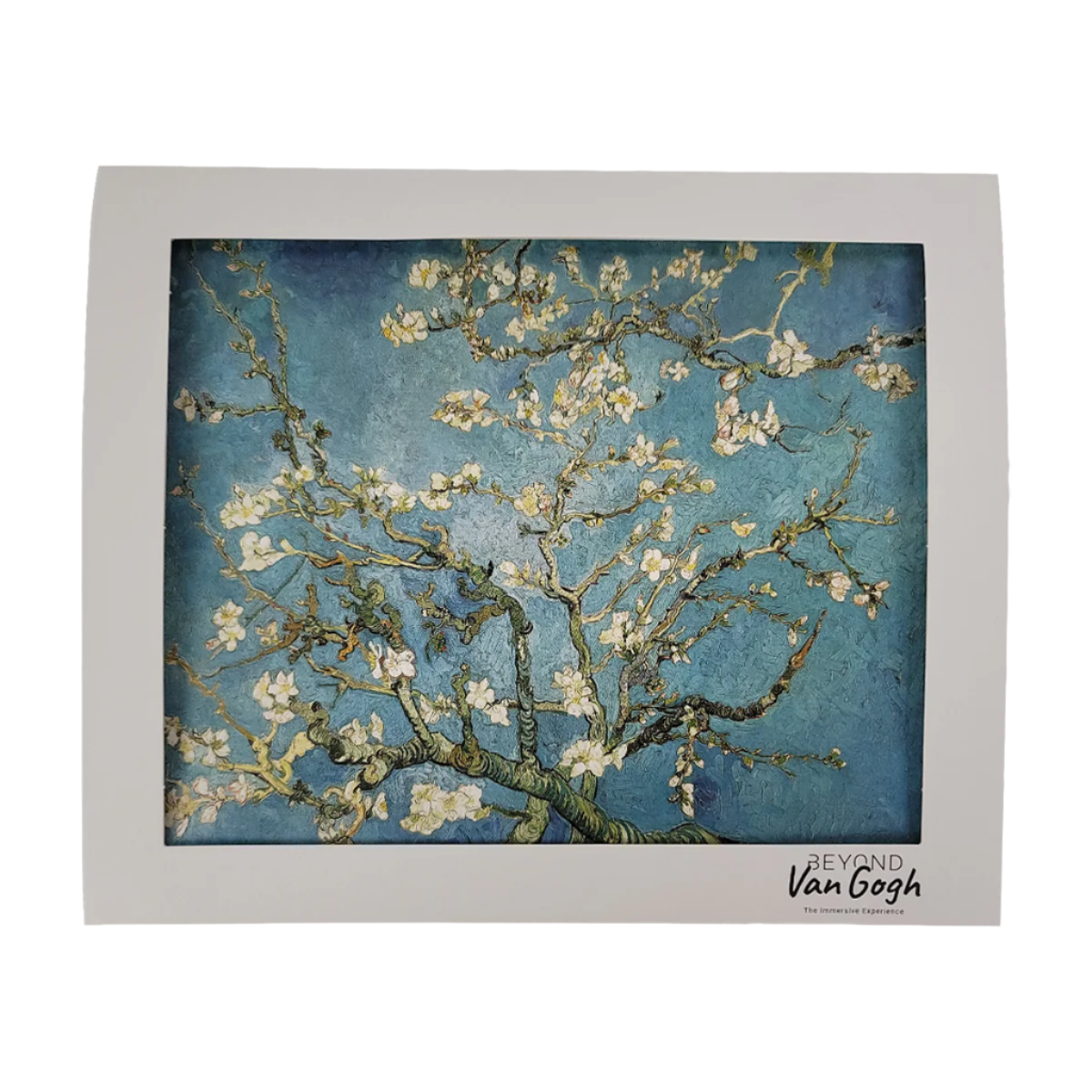 Almond Blossoms Matted Print 8x10