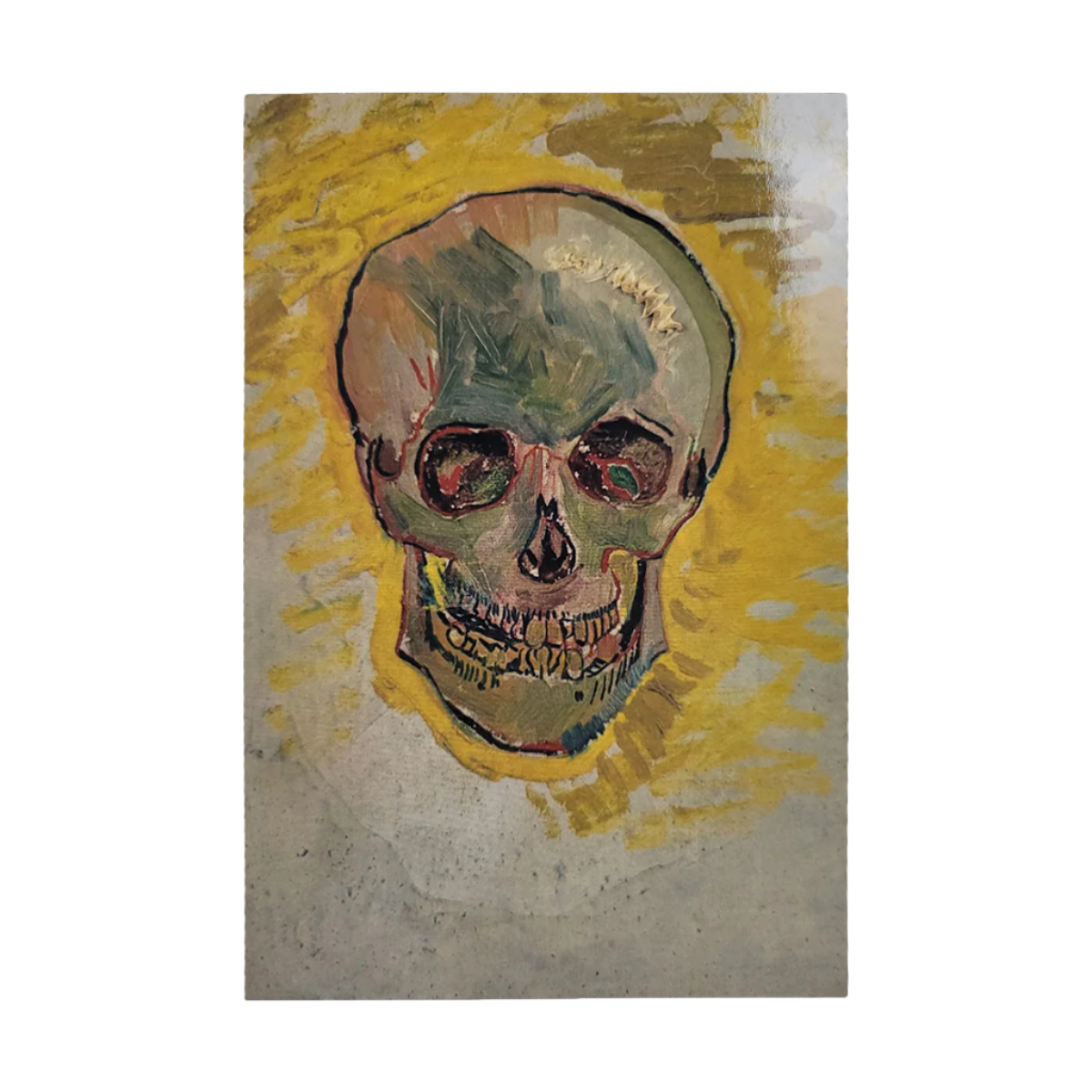 Skull Postcard