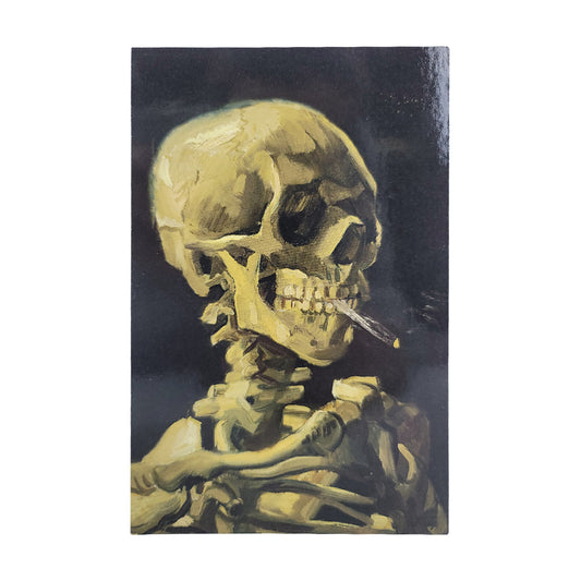 Skeleton of a Skull Postcard